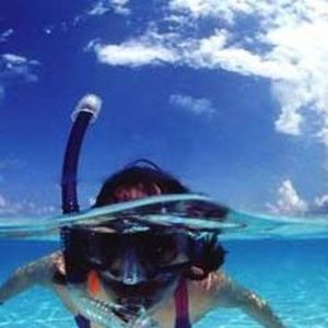 Meet your Posher, Jayne